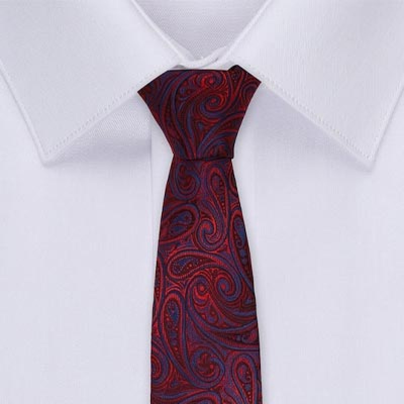 Men Maroon & Blue Printed Broad Tie