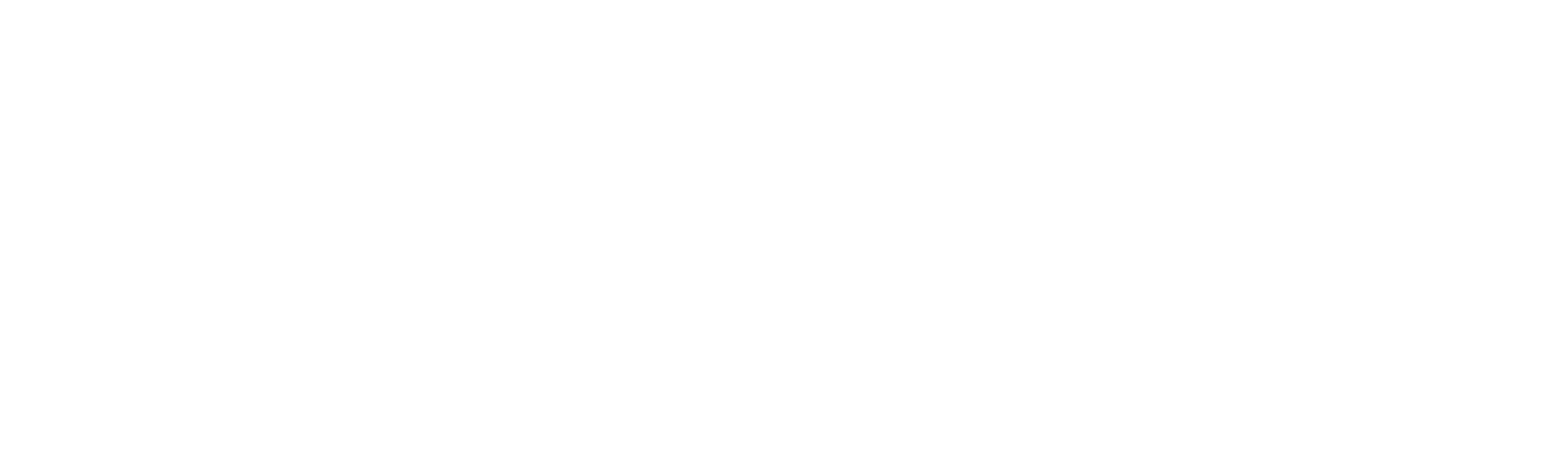 Sparkinz